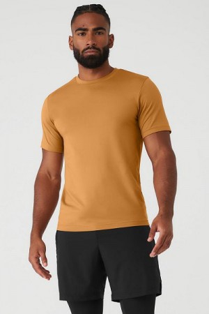 Camiseta Alo Yoga Conquer Reform Crewneck Curta Sleeve Masculino Amarelas | 4315-AKZND