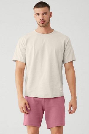 Camiseta Alo Yoga Society Crewneck Masculino Bege | 6425-YOBFR