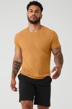 Camiseta Alo Yoga The Triumph Crew Neck Masculino Amarelas | 9015-OIVUS