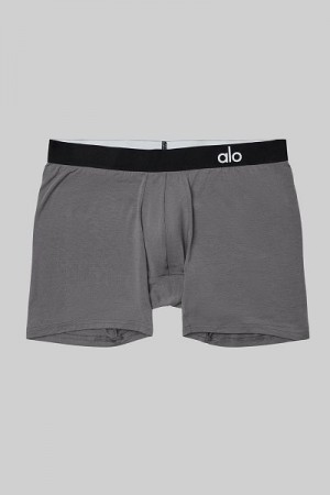 Cuecas Alo Yoga Day And Night Boxer Masculino Cinzentas | 7435-LZFDA