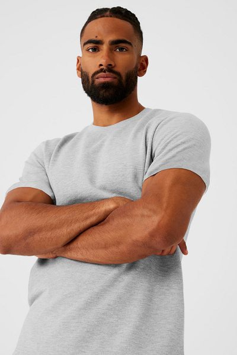 Camiseta Alo Yoga Chill Curta Sleeve Masculino Cinzentas | 5840-FGOSA