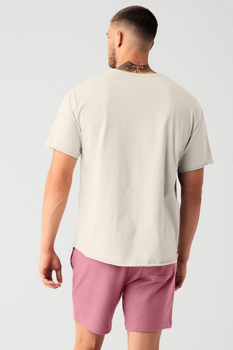 Camiseta Alo Yoga Society Crewneck Masculino Bege | 6425-YOBFR