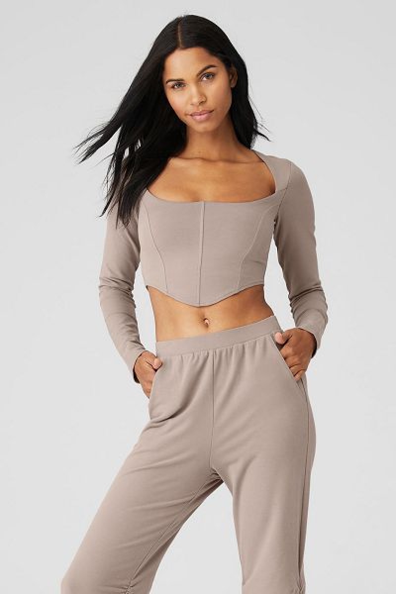 Camiseta Alo Yoga Soft Sculpt Long Sleeve Feminino Cinzentas Marrom | 7192-MHYID