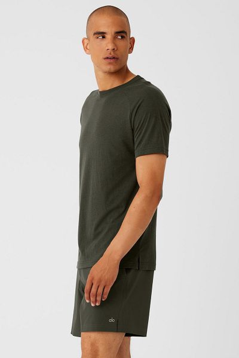 Camiseta Alo Yoga The Triumph Crew Neck Masculino Verdes | 1496-NZDTC