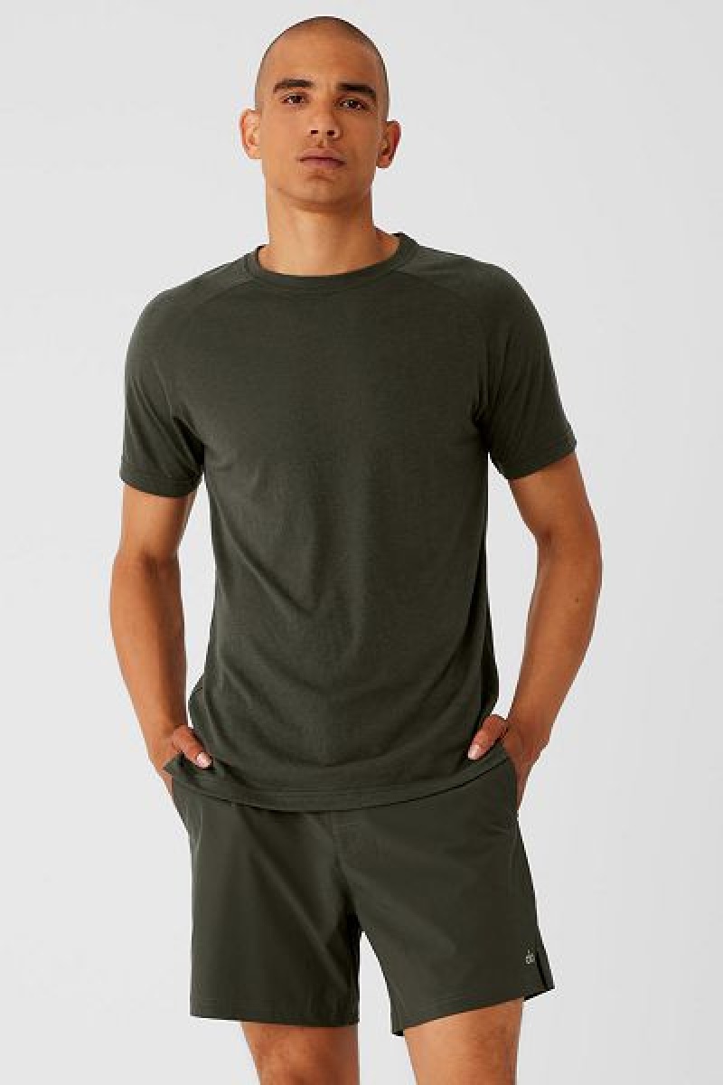 Camiseta Alo Yoga The Triumph Crew Neck Masculino Verdes | 1496-NZDTC