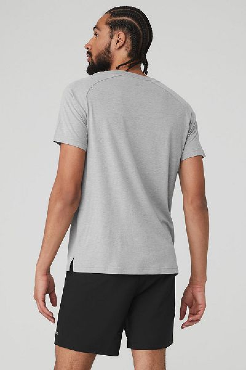 Camiseta Alo Yoga The Triumph Crew Neck Masculino Cinzentas | 0571-IKFWY