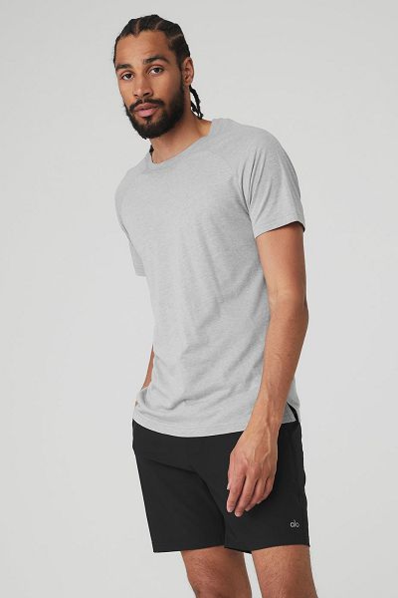 Camiseta Alo Yoga The Triumph Crew Neck Masculino Cinzentas | 0571-IKFWY