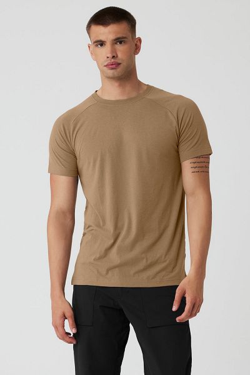 Camiseta Alo Yoga The Triumph Crew Neck Masculino Caqui | 5782-OHSNB