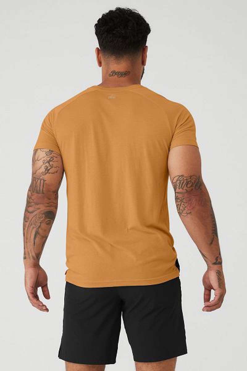 Camiseta Alo Yoga The Triumph Crew Neck Masculino Amarelas | 9015-OIVUS