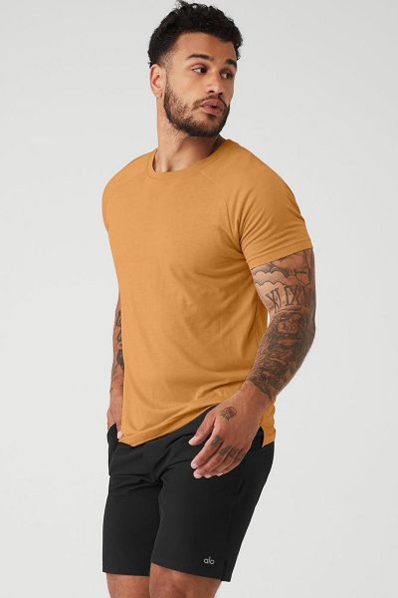 Camiseta Alo Yoga The Triumph Crew Neck Masculino Amarelas | 9015-OIVUS