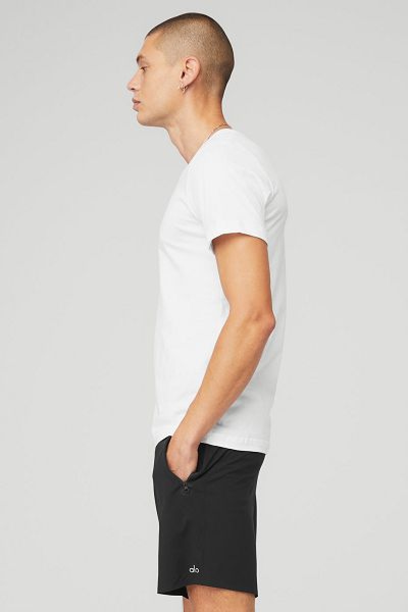 Camiseta Alo Yoga The Triumph V-Neck Masculino Branco | 3690-OTNJM