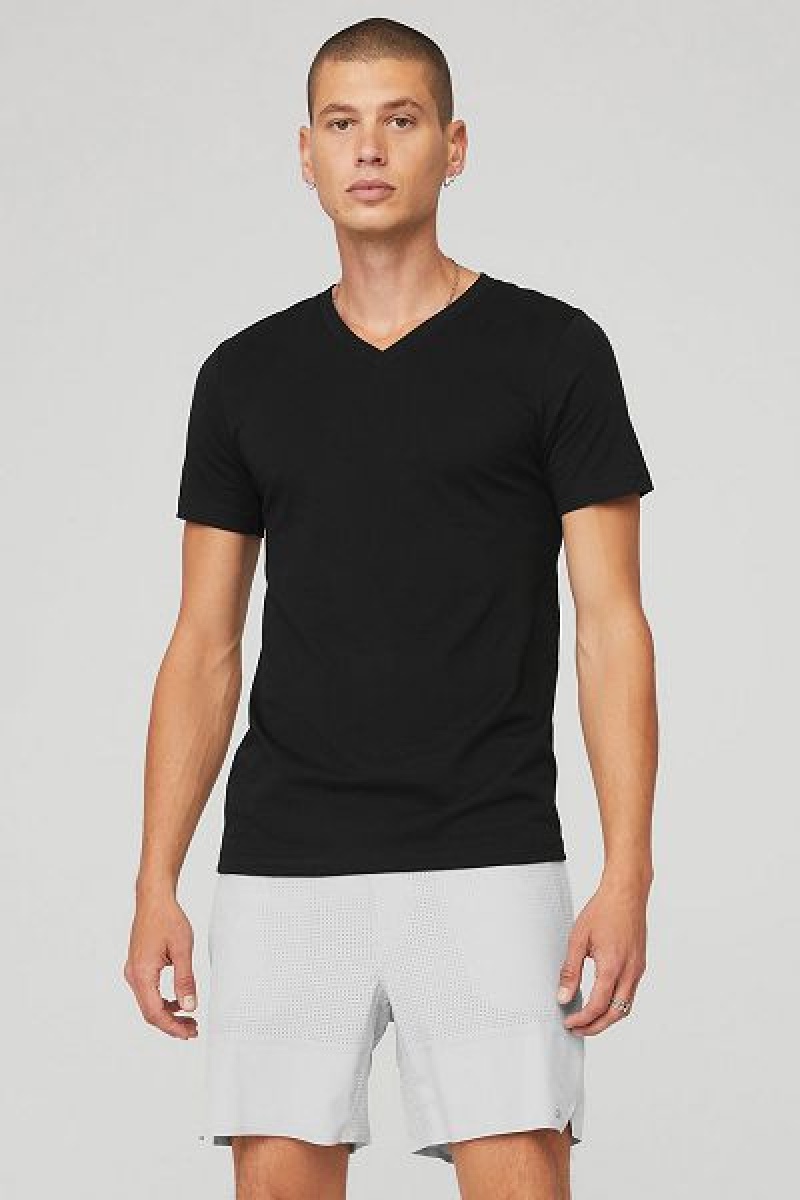 Camiseta Alo Yoga The Triumph V-Neck Masculino Pretas | 5460-HWDLN