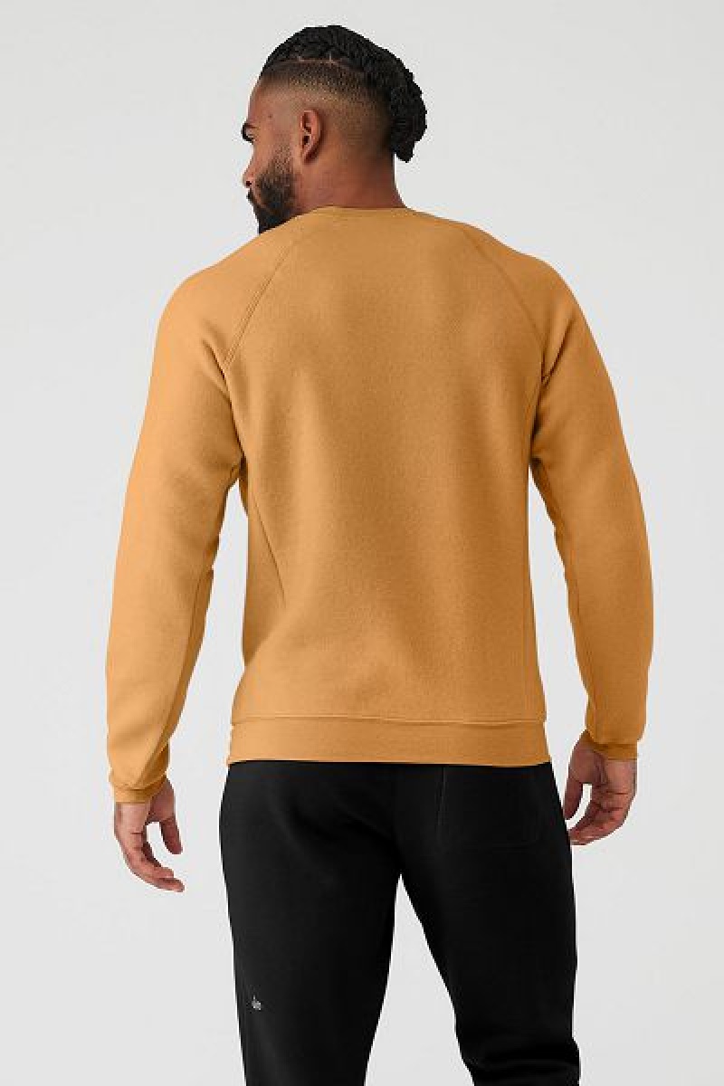 Moletons Alo Yoga Triumph Crew Neck Masculino Amarelas | 2956-XTONA