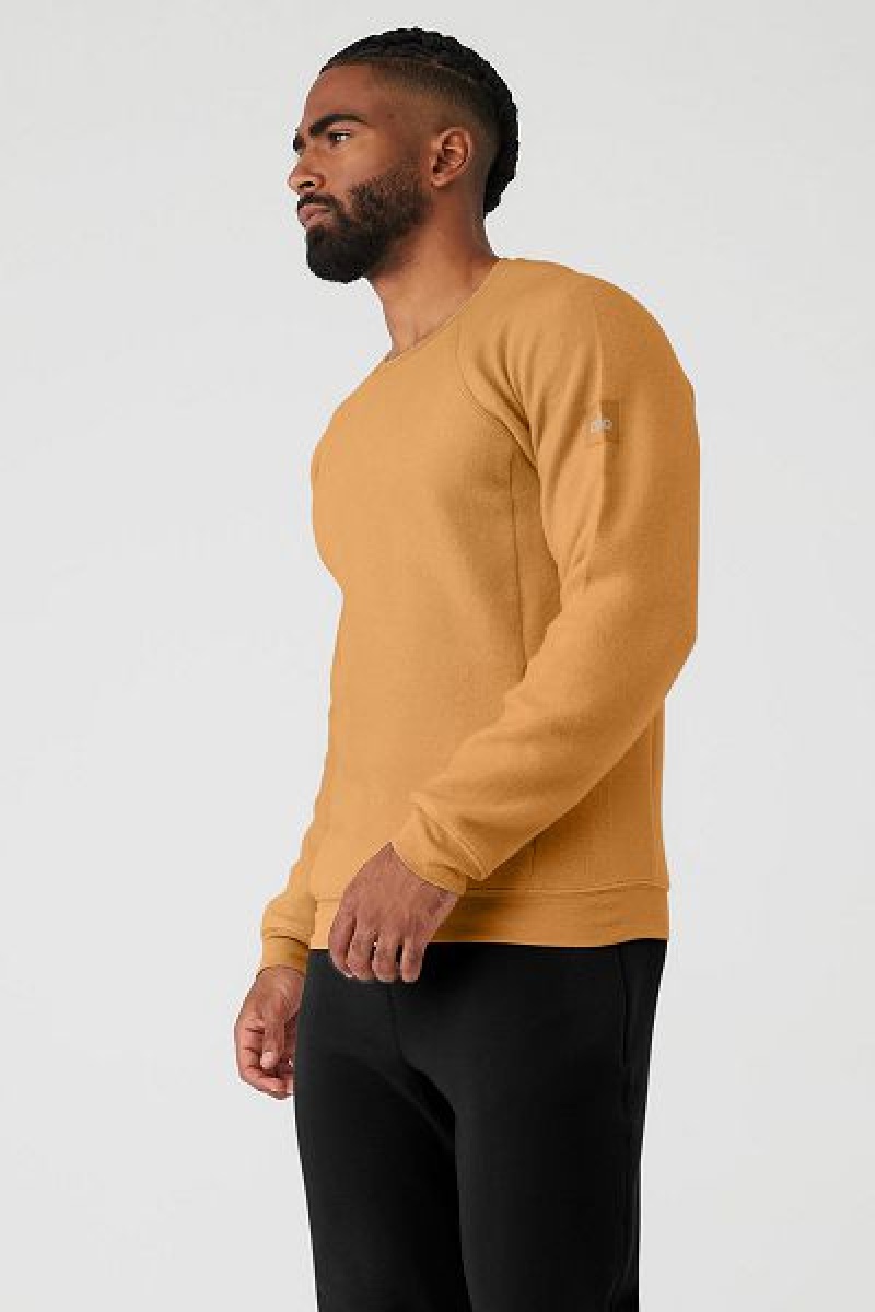 Moletons Alo Yoga Triumph Crew Neck Masculino Amarelas | 2956-XTONA