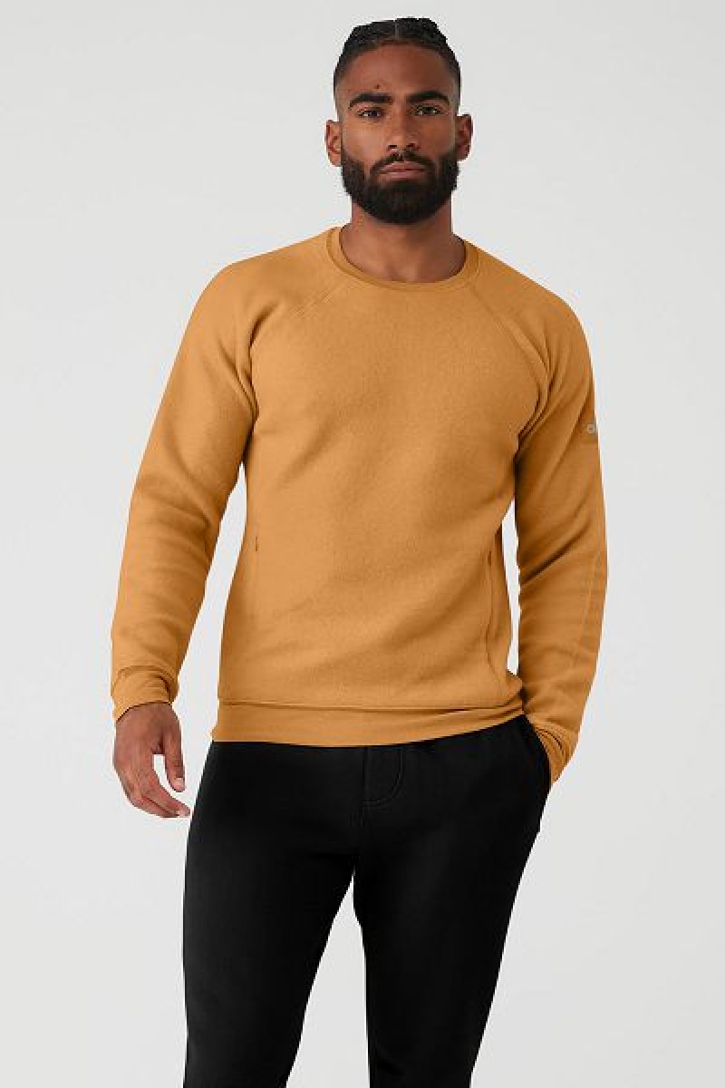 Moletons Alo Yoga Triumph Crew Neck Masculino Amarelas | 2956-XTONA