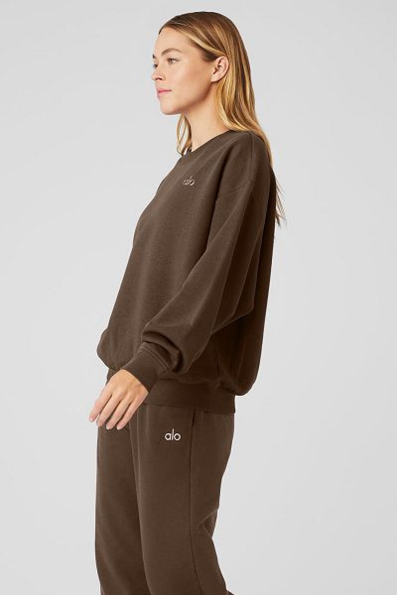 Pullovers Alo Yoga Accolade Crew Neck Feminino Marrom | 9730-XQTDL