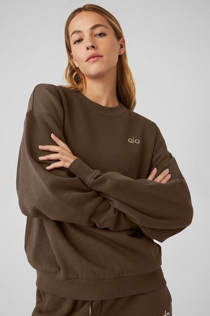 Pullovers Alo Yoga Accolade Crew Neck Feminino Marrom | 9730-XQTDL