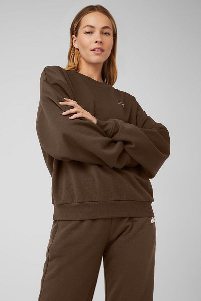 Pullovers Alo Yoga Accolade Crew Neck Feminino Marrom | 9730-XQTDL