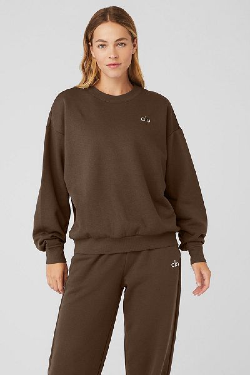 Pullovers Alo Yoga Accolade Crew Neck Feminino Marrom | 9730-XQTDL