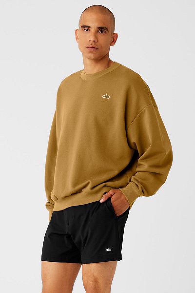 Pullovers Alo Yoga Accolade Crew Neck Masculino Verde Oliva | 0614-ZGWJT