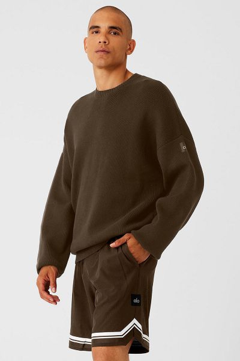 Suéteres Alo Yoga Scholar Crew Neck Masculino Marrom | 6407-FPRES