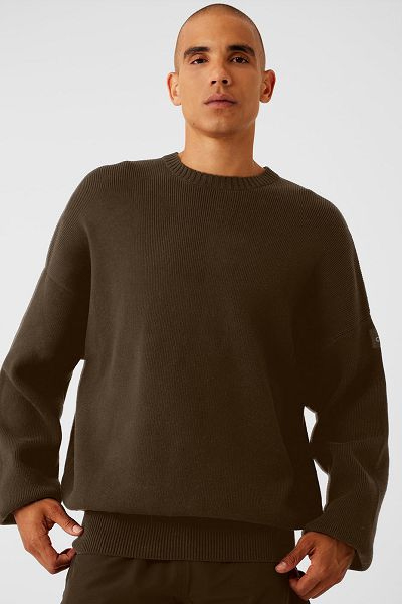 Suéteres Alo Yoga Scholar Crew Neck Masculino Marrom | 6407-FPRES