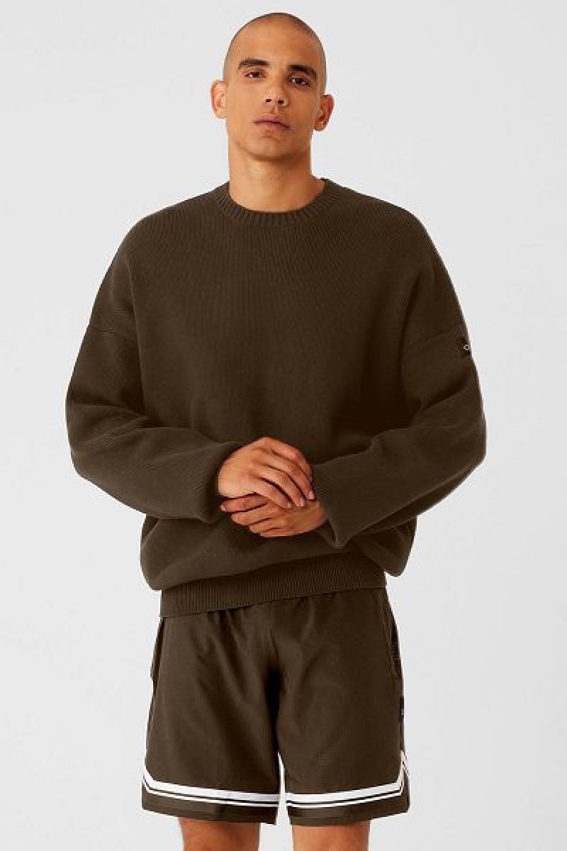 Suéteres Alo Yoga Scholar Crew Neck Masculino Marrom | 6407-FPRES